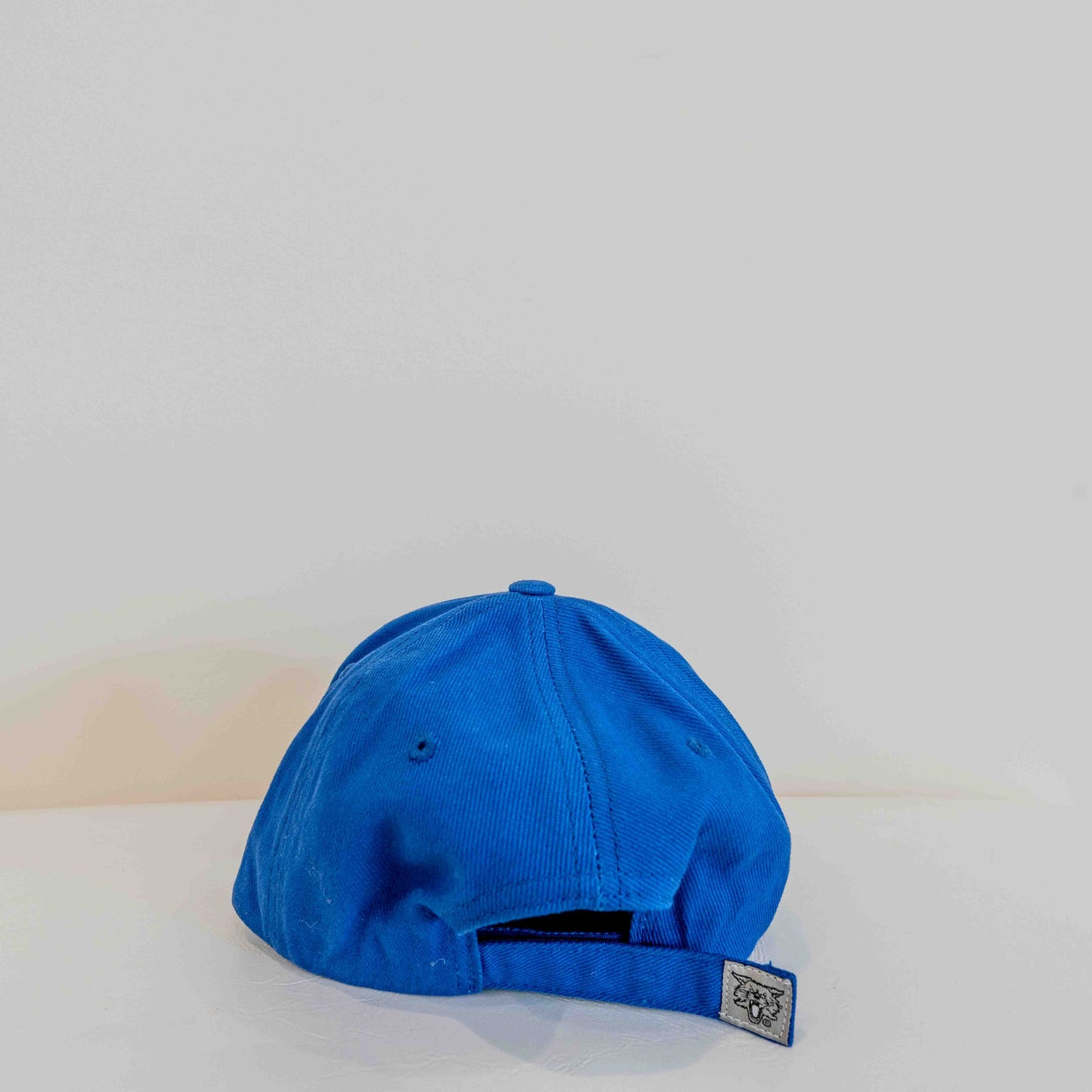 Kentucky Wildcats Bold Blue