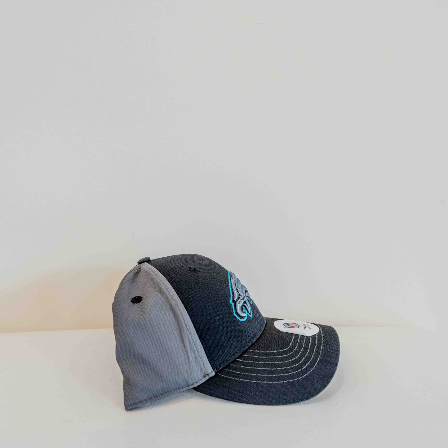 Philadelphia Eagles Gray & Black Snapback