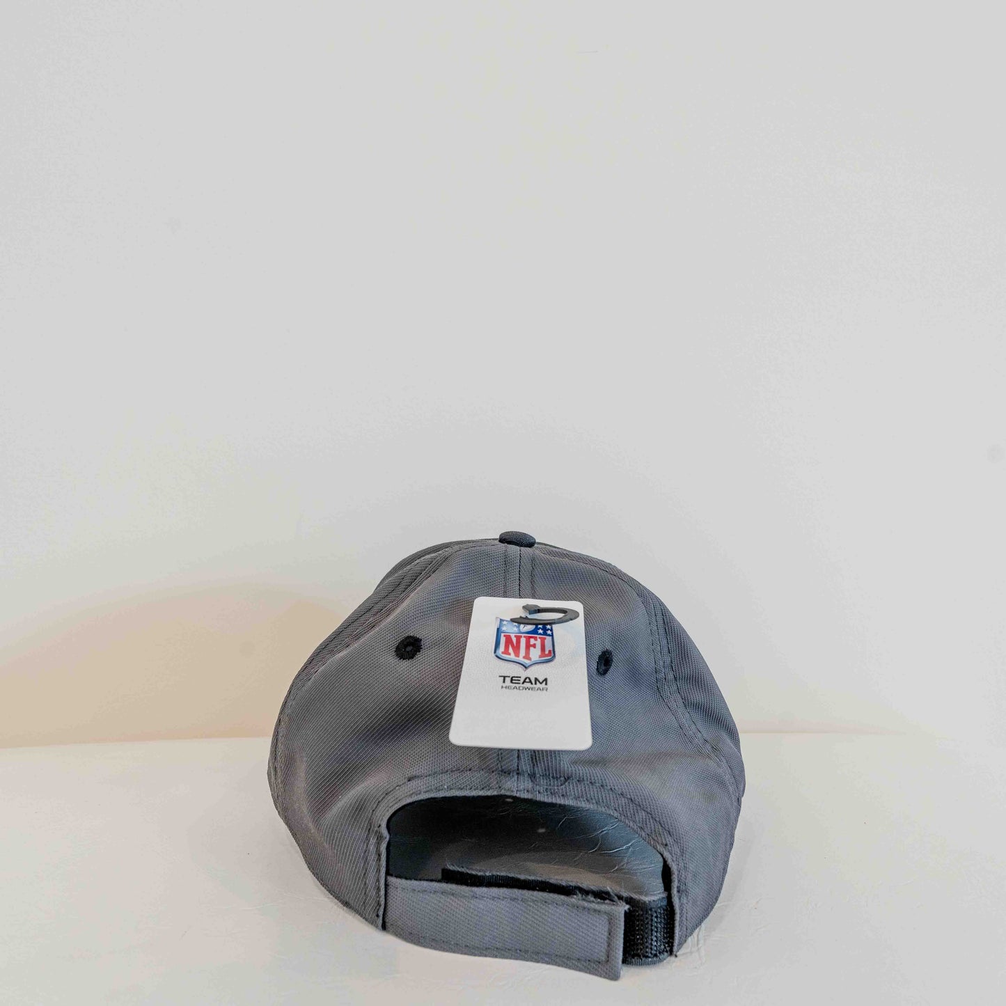 Philadelphia Eagles Gray & Black Snapback