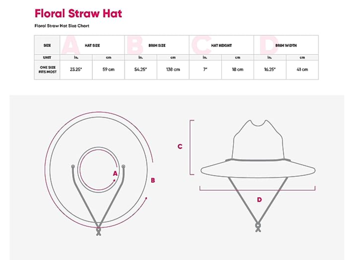 Carolina Panthers Straw Hat