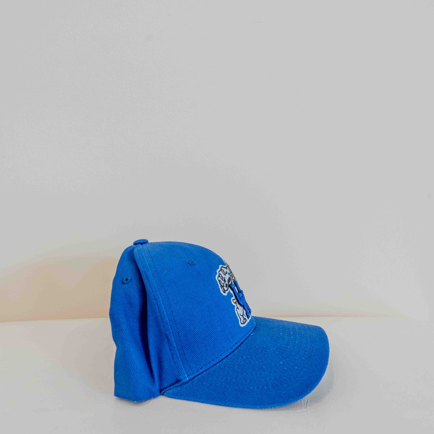Kentucky Wildcats Bold Blue