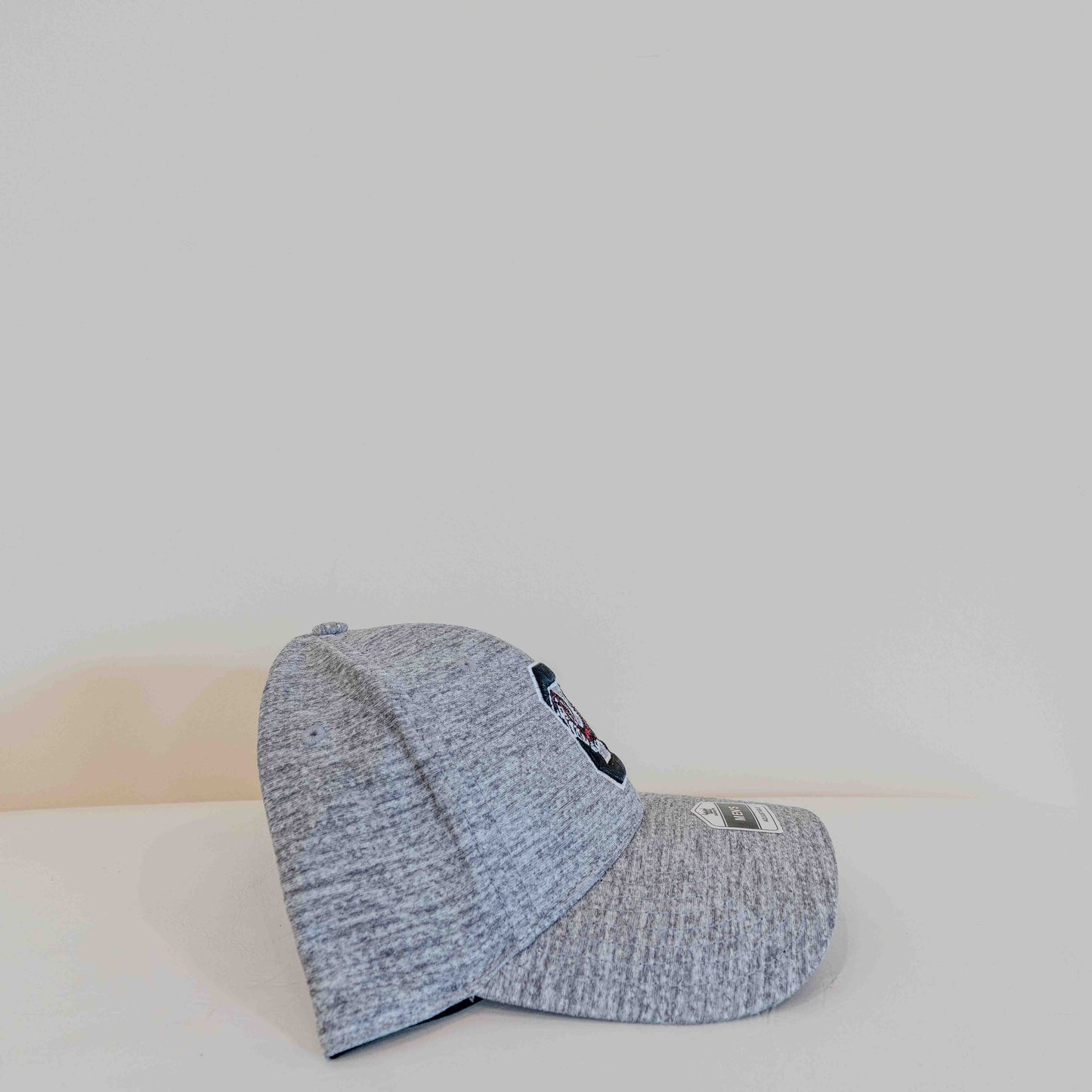 South Carolina Gamecocks Cap Gray Texture